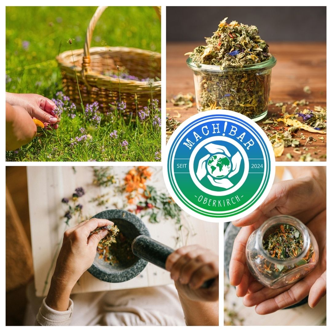 Kräuterkurs Schwarzwald